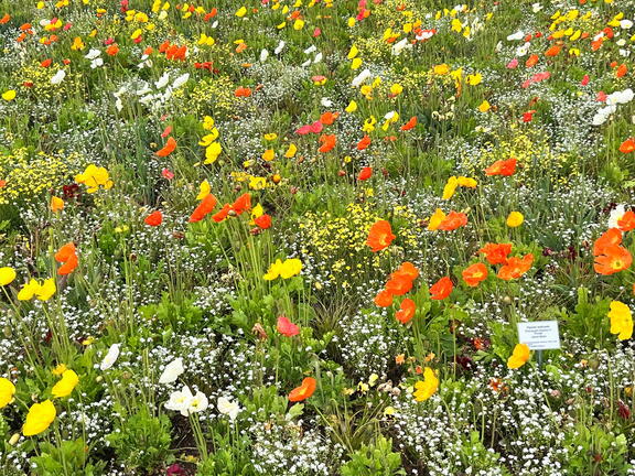 23-05-16 10-52-45 5385